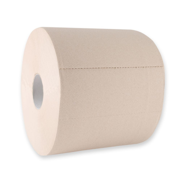 Franz Mensch Bio Putzpapier 3-lagig FSC®-Recycled – Lebensmittelechte Recyclingpapierrolle, 2x1 Roll